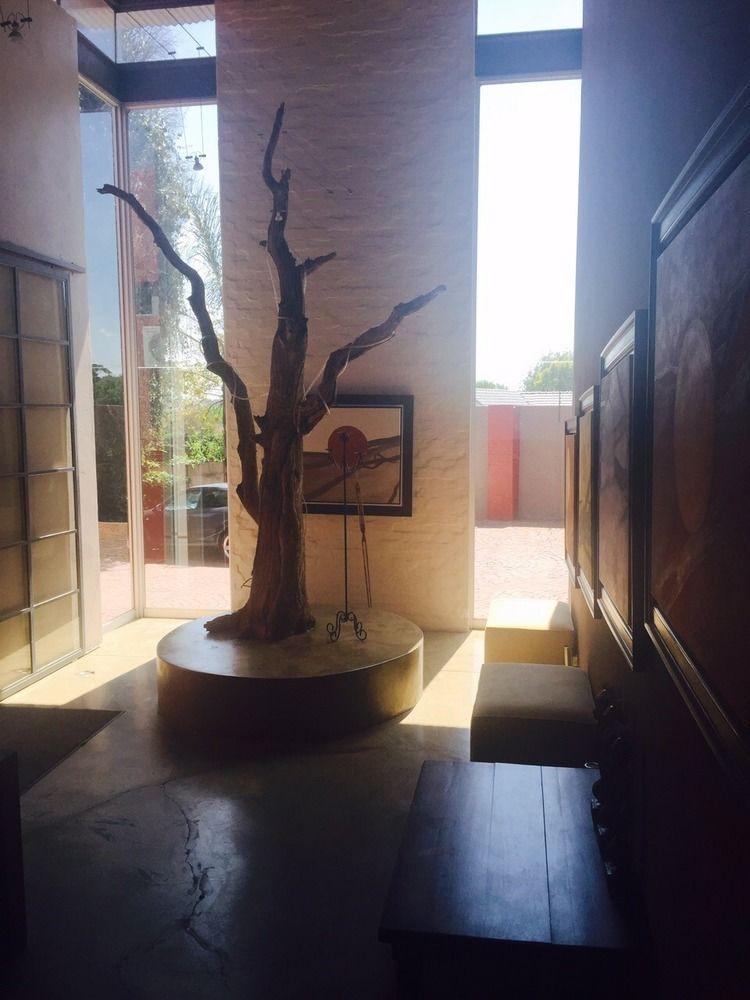 African Moon Corporate House Κέμπτον Παρκ Εξωτερικό φωτογραφία